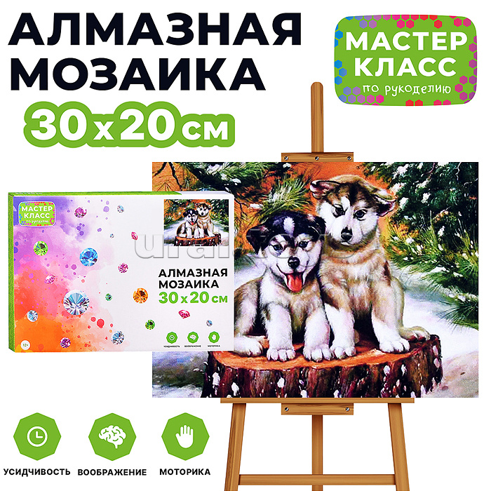Мозаика алмазная "Щенки" 20*30см.