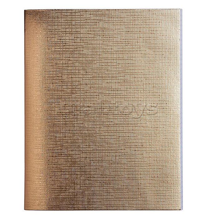 Тетрадь 48л. клетка А5ф на скобе бумвинил "Metallic" золото