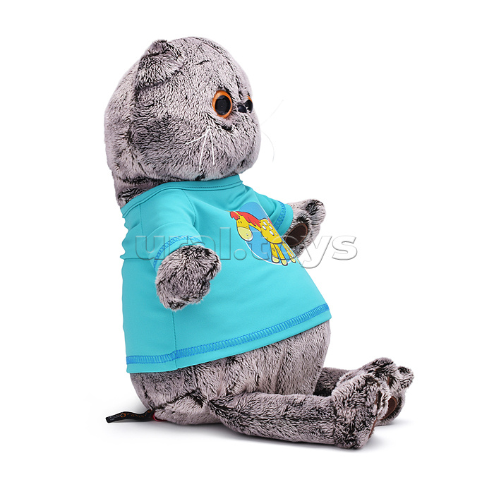 Кот Басик в лонгсливе с лошадкой