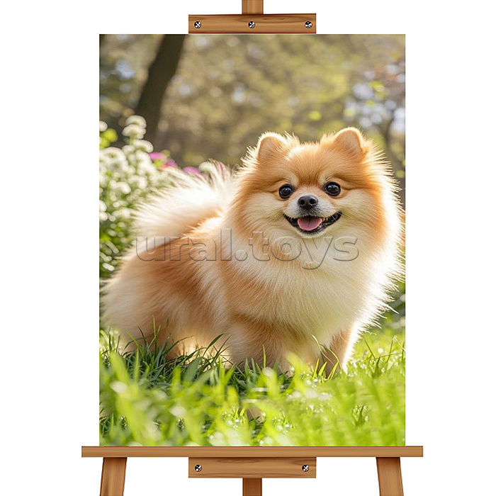 Мозаика алмазная "Шпиц" 20*30см