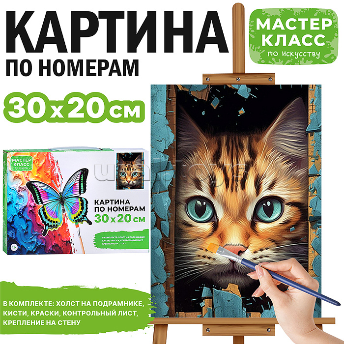 Набор для рисования "Картина по номерам 20*30 см. Милый котик"\
