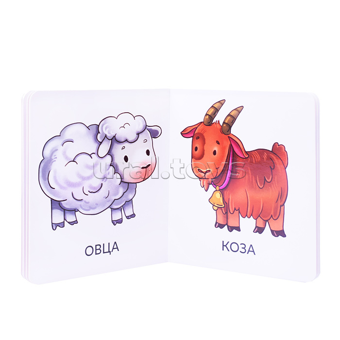Книга мои первые слова "Домашние животные"