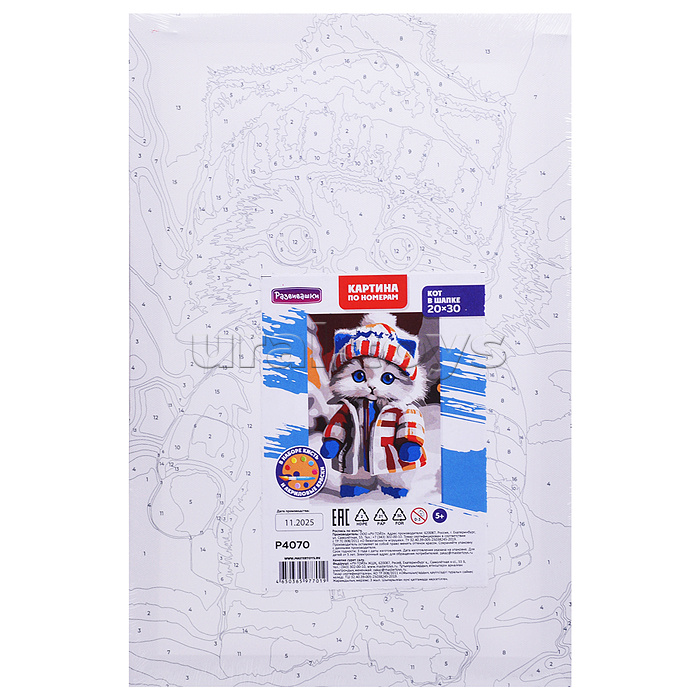 Картина по номерам "Кот в шапке" 20х30см