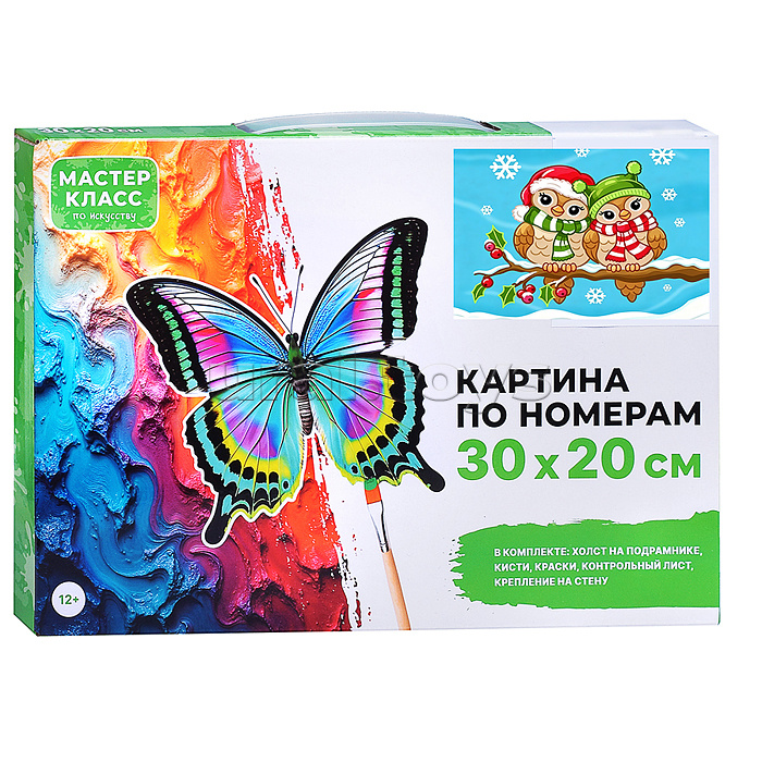 Картина по номерам "Совушки зимой" 30*20 см.