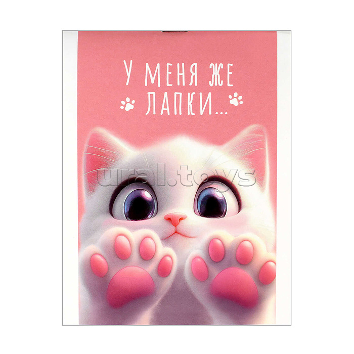 Блокнот А6 40л. "Кошачьи лапки" Блок - белый офсет 60 г/м², клетка, мягкий переплёт