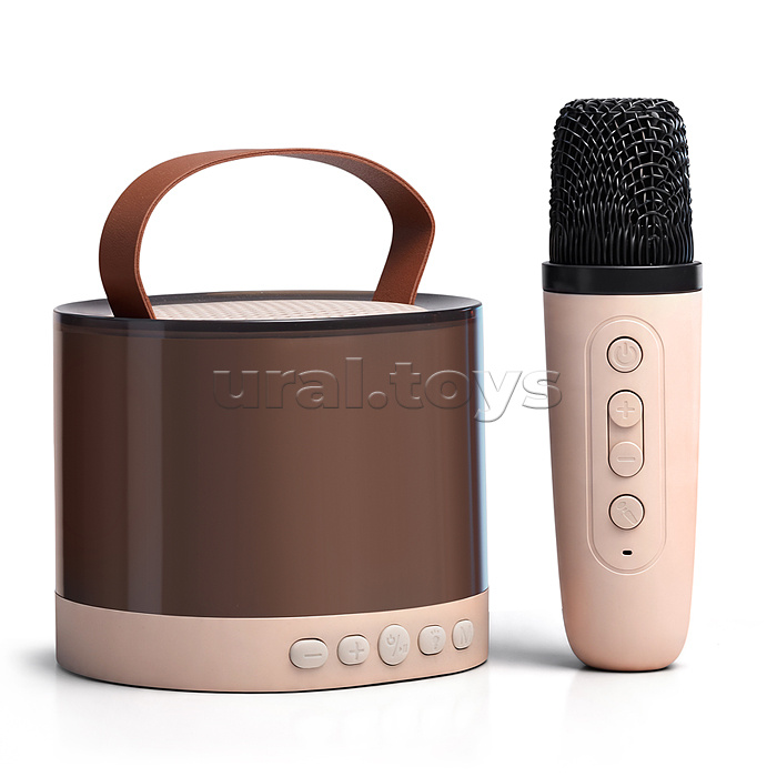 Караоке - центр игрушечный "Петь и зажигать" в коробке