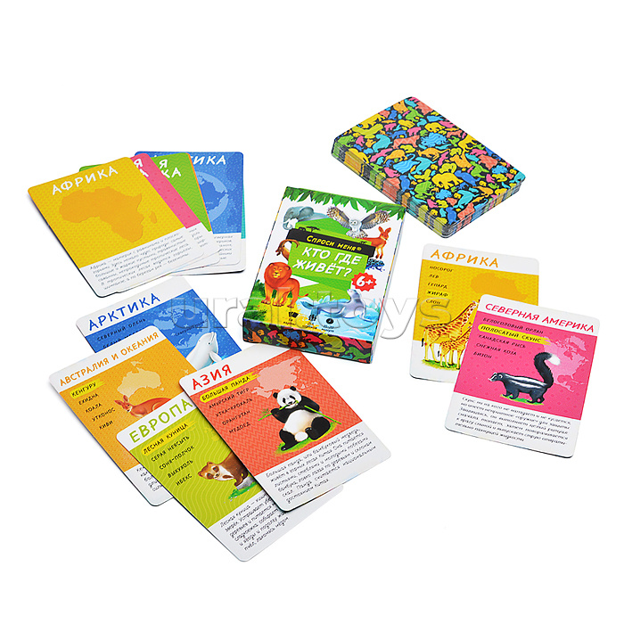 Подарок чемпиону 5в1. Серия Большой подарок.