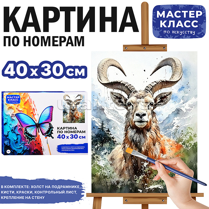 Картина по номерам "Властелин горы" 40*30 см.