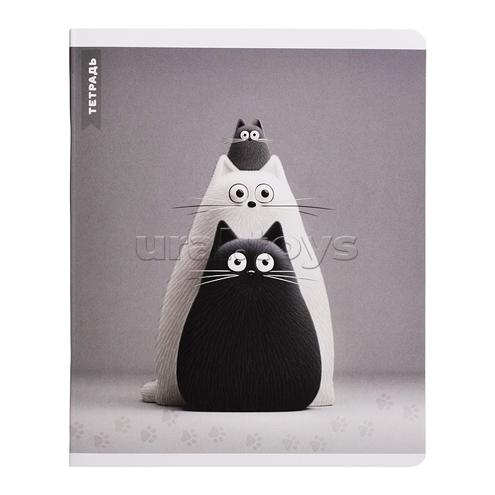 Тетрадь 48 л, клетка "Черно-белые коты" А5+, мягкий переплёт (2 скобы)