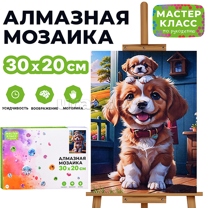 Мозаика алмазная "Семья" 20*30см.