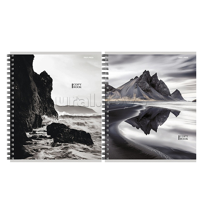 Тетрадь 48л. клетка "Завораживающие пейзажи" А5 на гребне мелов.картон, двойная обл.