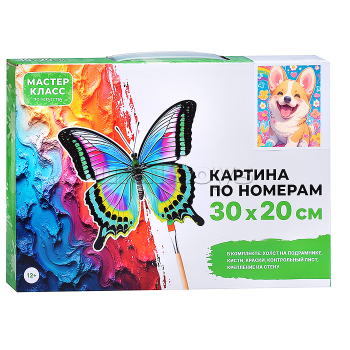 Набор для рисования "Картина по номерам 30х20 см. Улыбака"