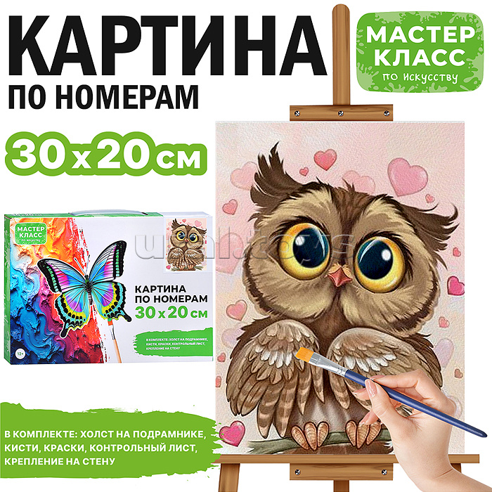Набор для рисования "Картина по номерам 30х20 см. Влюблённая сова"