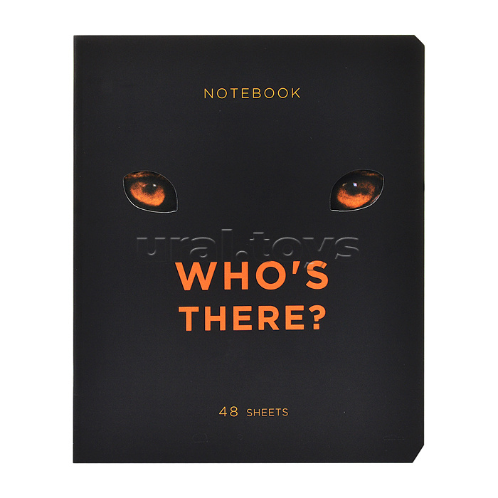 Тетрадь 48л. клетка, А5 "Кто это?" скрепка