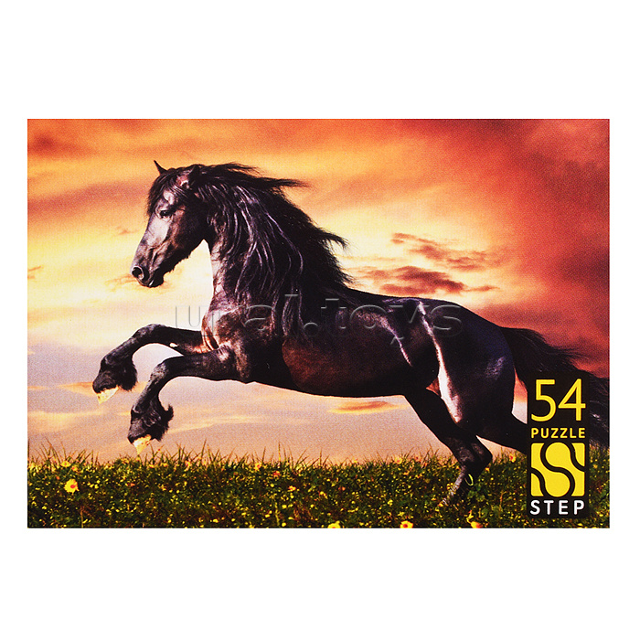 Пазлы 54 "Лошади. Символ года"