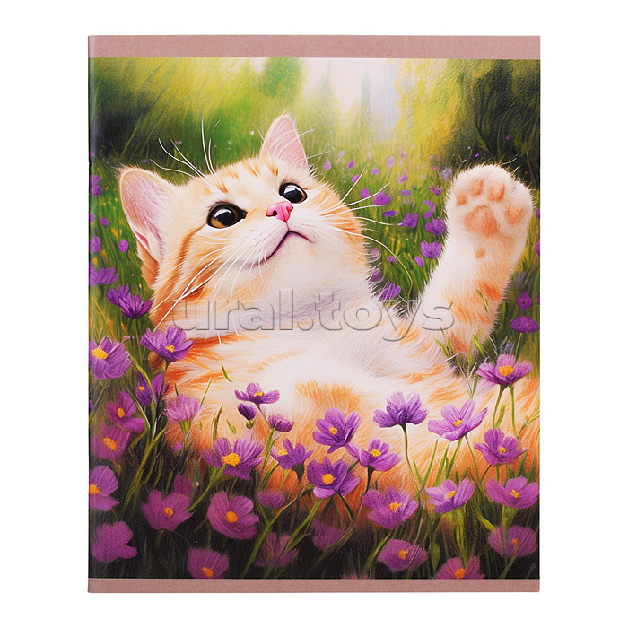 Тетрадь 48л. клетка "Солнечные коты" скрепка. обл.: мел. картон. Бум. оф.60 г/м2.