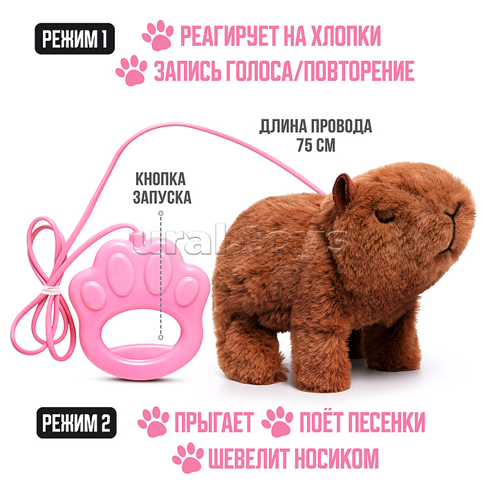 Капибара "Вик" (записывает, поёт, двигается) в пакете Капибара "Вик" (записывает, поёт, двигается) в пакете