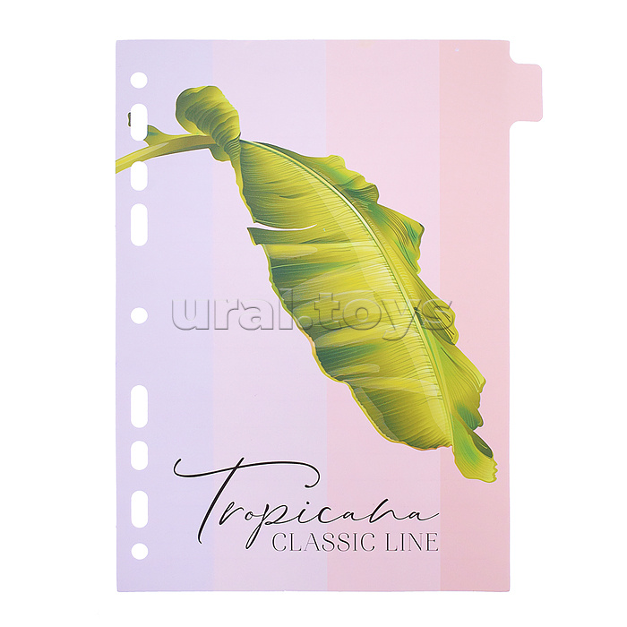 Разделитель листов "Tropicana" A5 (160x210 мм) ламинированный мелованный картон 210 г/м2, с рисунком, 8 шт, индивидуальная упаковка