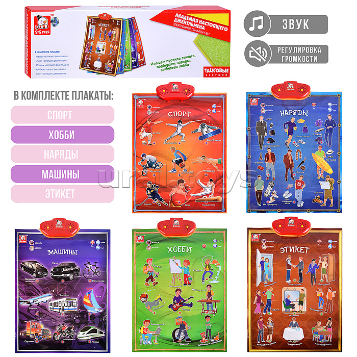 Эл. звуковой плакат, в ассортименте,  коробке