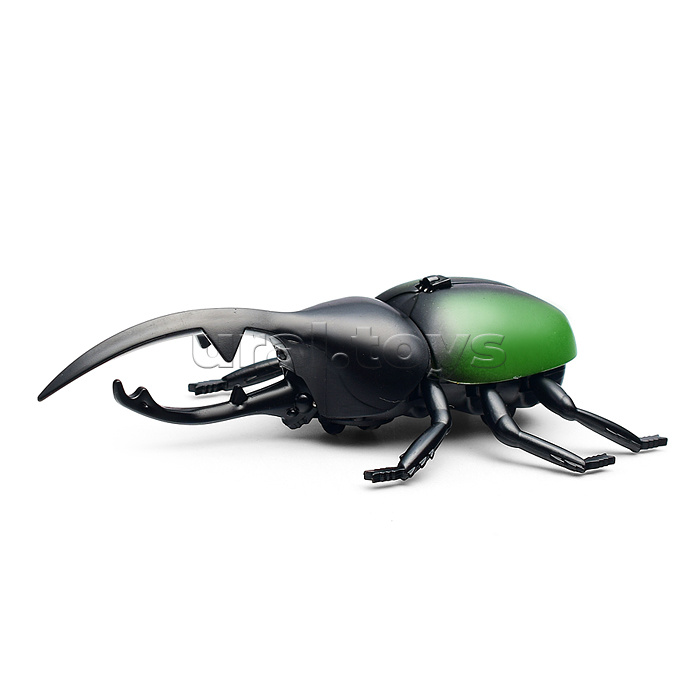 Жук в коробке