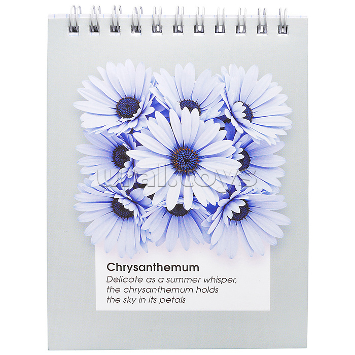 Блокноты А6 60л "Гербарий.2" гребень