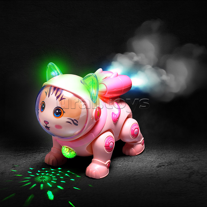 Кот "Электрокосмический кот" в коробке