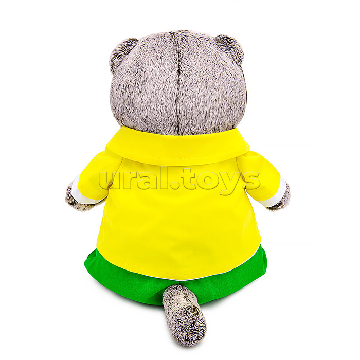 Кот Басик в ярком костюме