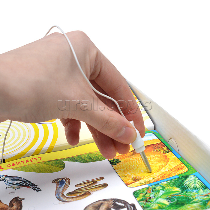 Электровикторина (4-7 лет). Всё обо всём