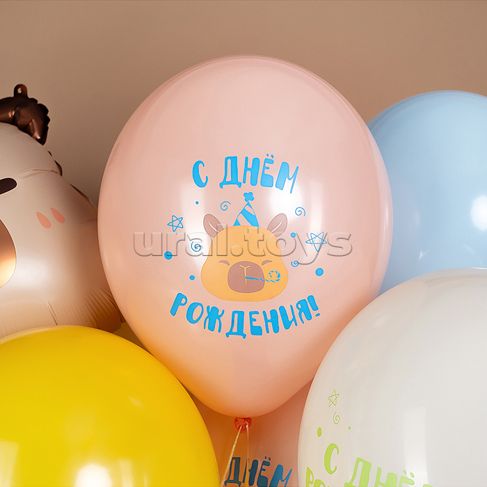 Шар (12''/30 см) Капибары, С Днем Рождения!, Ассорти, пастель, 2 ст, 25 шт.