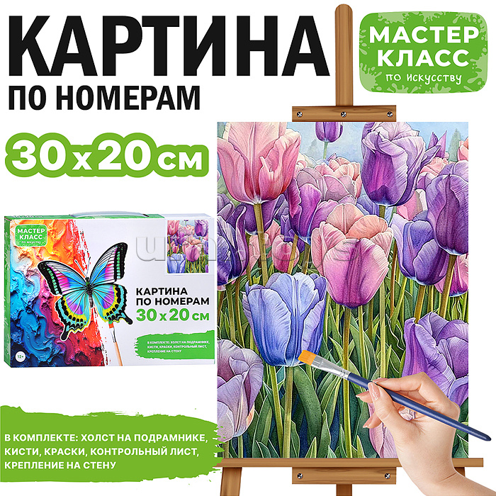 Набор для рисования "Картина по номерам 20*30 см. Цветочная полянка"