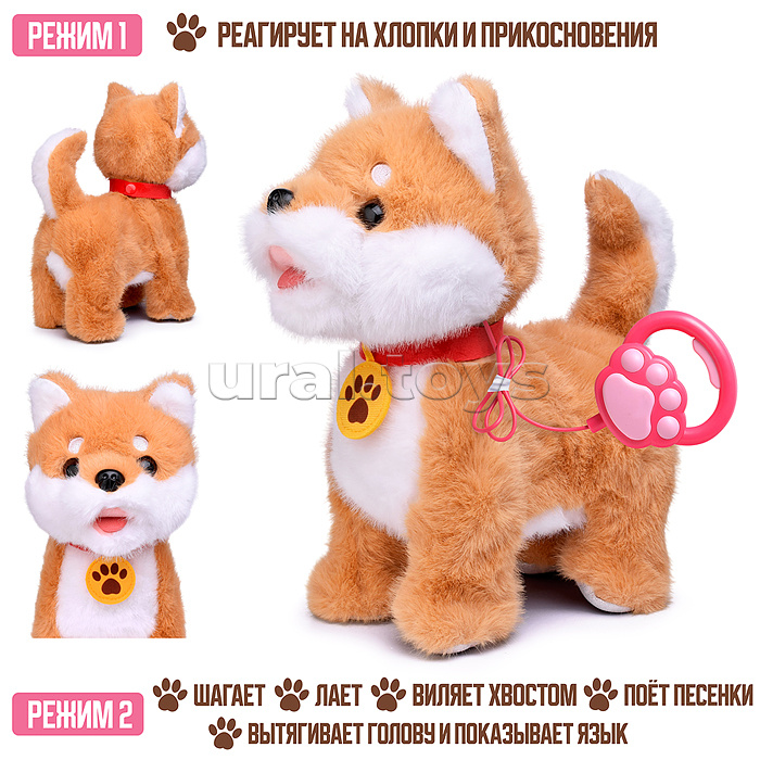Собака "Персик" (поет, ходит, повторяет) в пакете
