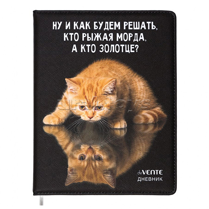 Дневник 1-11 кл. "Ну и как будем решать кто золотце?" универсальный блок, 48 листов, белая бумага 80 г/м², Дневник 1-11 кл. "Ну и как будем решать кто золотце?" универсальный блок, 48 листов, белая бумага 80 г/м²,