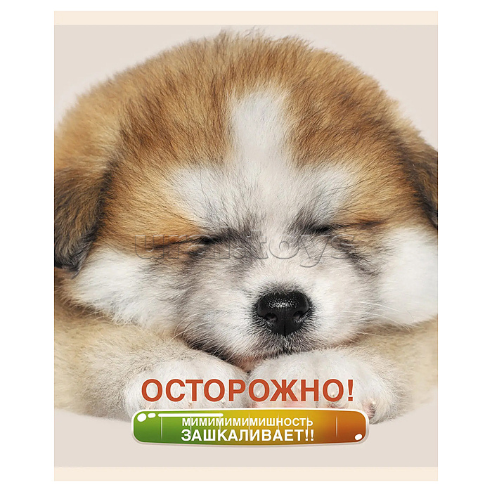 Тетрадь 48л. клетка "Осторожно, щеночки" скрепка