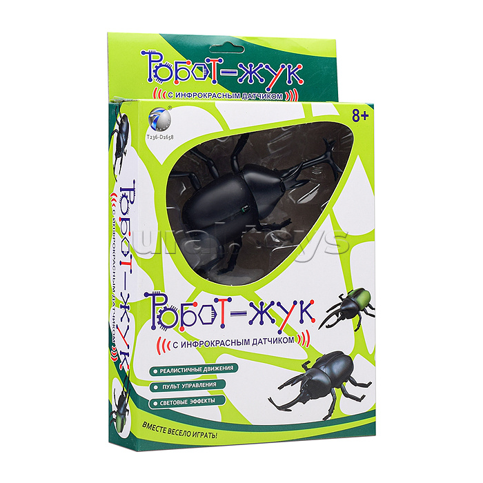 Жук в коробке