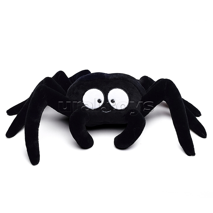 Паук Черныш