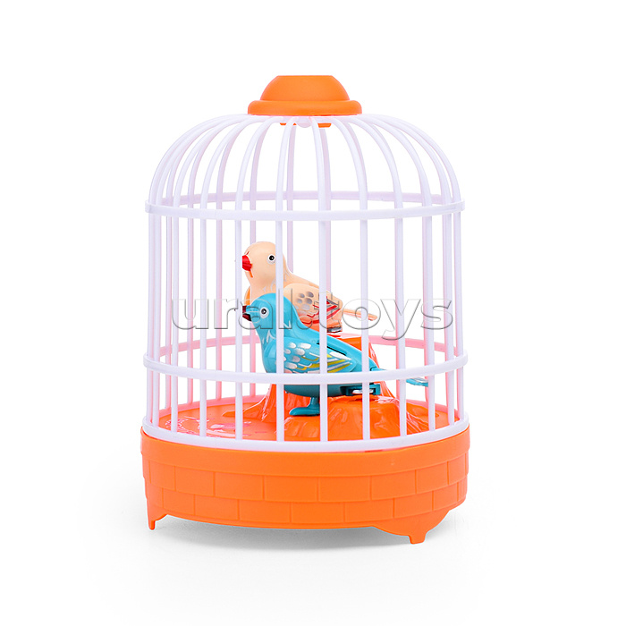 Интерактивная игрушка "Птичка" в коробк