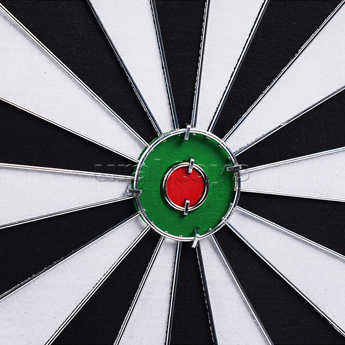 Дартс двусторонний с дротиками "Точно в цель!
