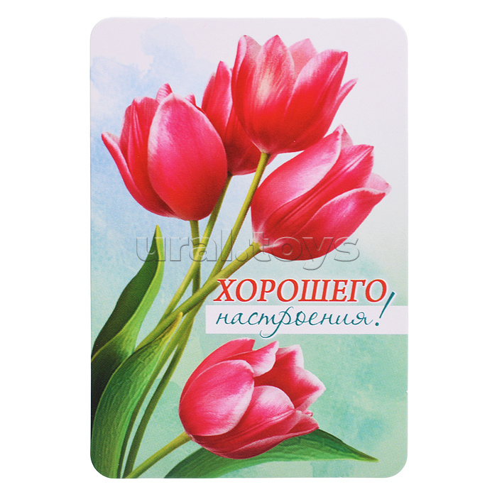 Набор мини-открыток "Акварельные цветы"