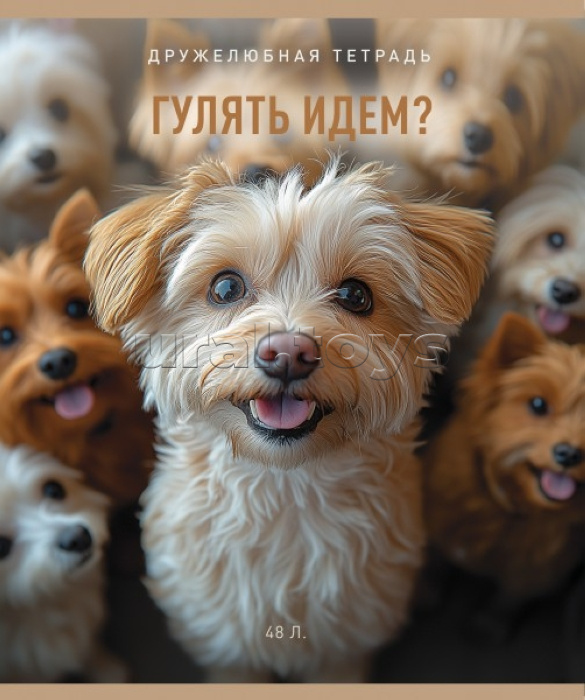 Тетрадь 48л. клетка А5 скрепка S "В смысле?" Премиум 4+0+Ламинация матовая+УФ выб