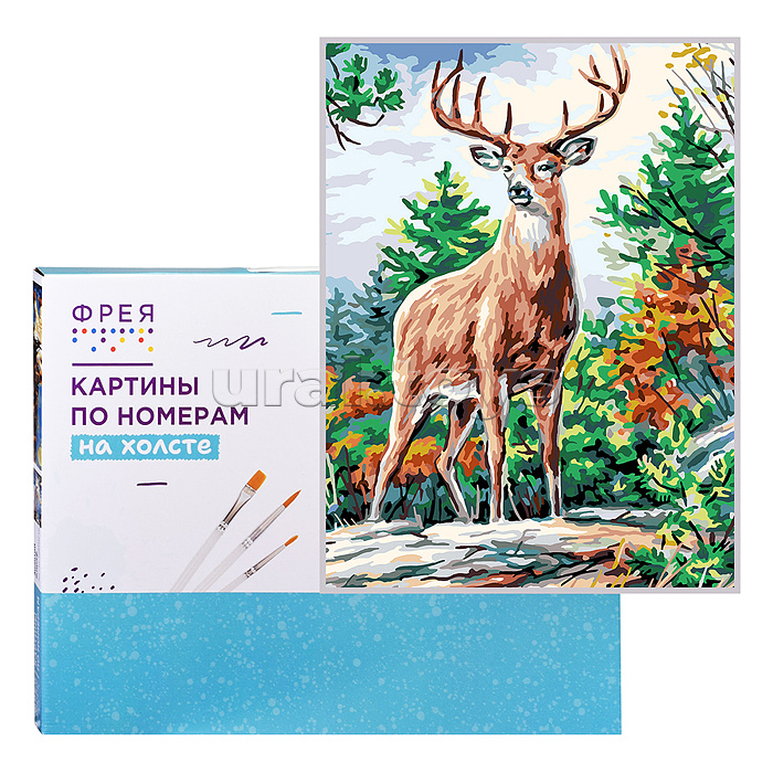 Набор для раскрашивания по номерам 50х40 "Великолепный олень" (цветной холст)