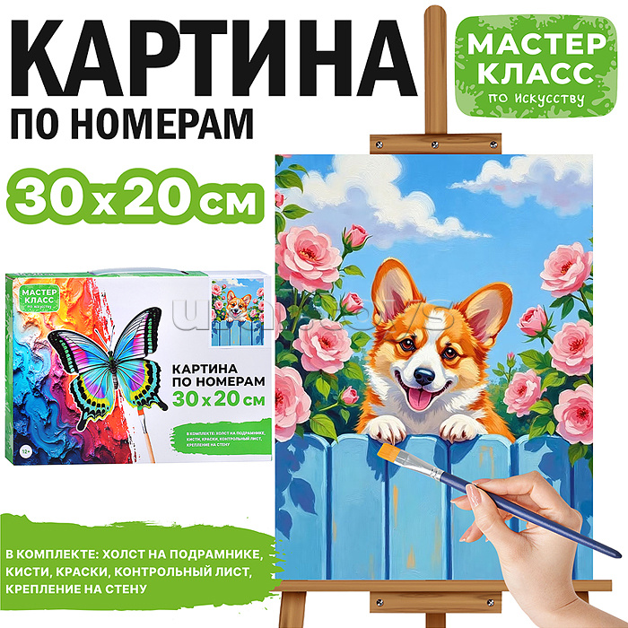 Картина по номерам "Корги" 30х20 см.