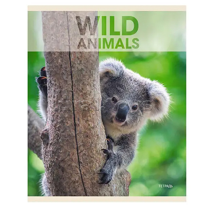 Тетрадь 96л. А5, клетка "Wild animals" скрепка Тетрадь 96л. А5, клетка "Wild animals" скрепка