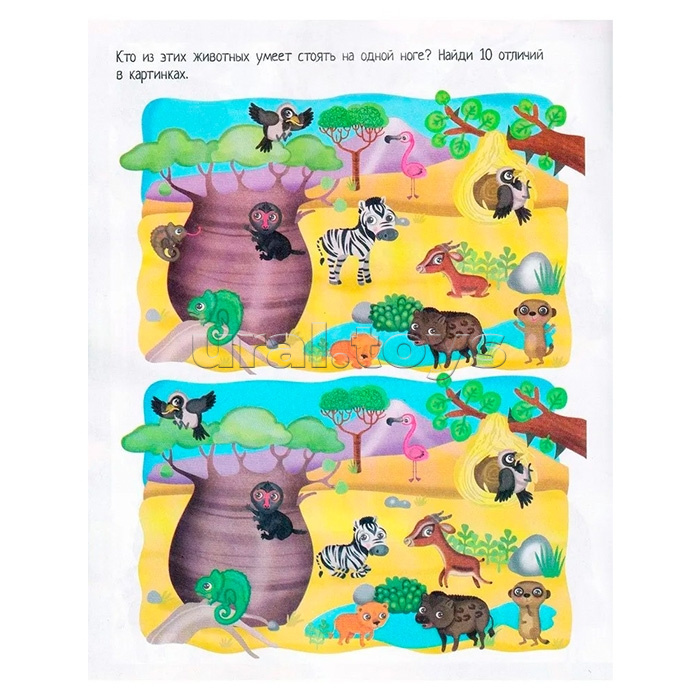 Книжка с наклейками формат А4. Приключения в жаркой саванне. 50 наклеек. Барсотти Э.