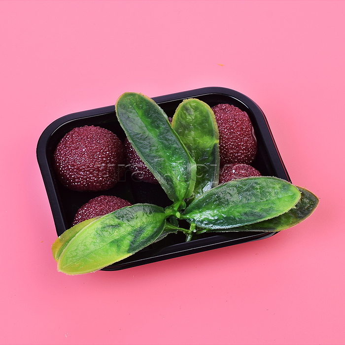 Игрушка -антистресс "Ягодки с листочками" в пакете