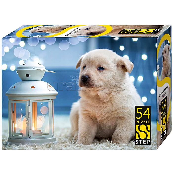 Пазлы 54 "Домашние питомцы"