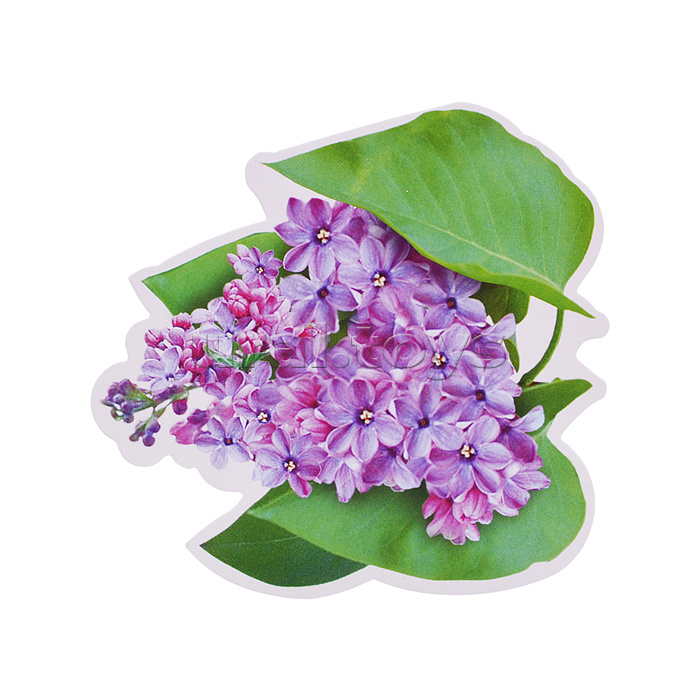 Украшение на скотче 284х326мм "До свидания, Школа!"