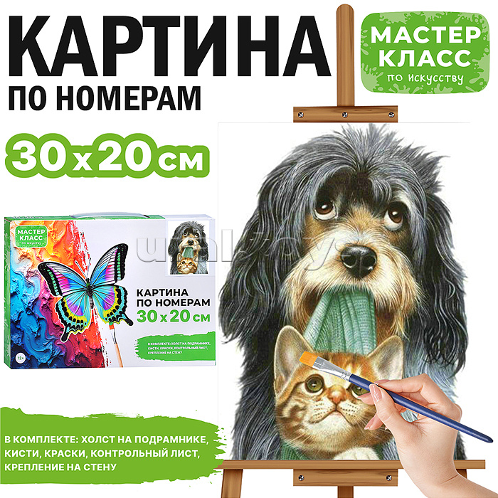 Набор для рисования "Картина по номерам 30х20 см. Друзья"