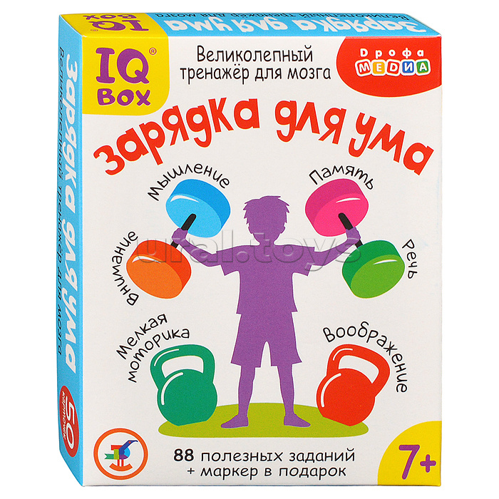 IQ Box. Зарядка для ума