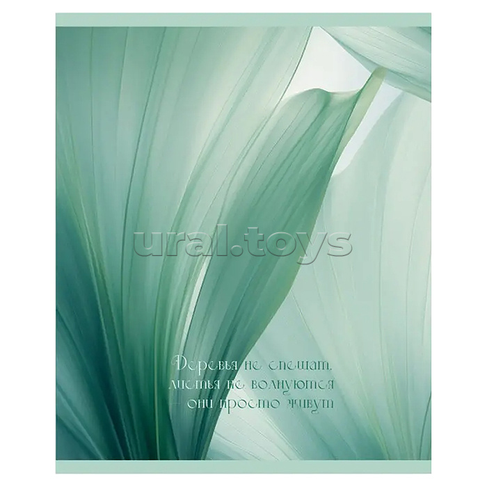 Тетрадь 48л. клетка серая "Шепот листьев" А5 скрепка