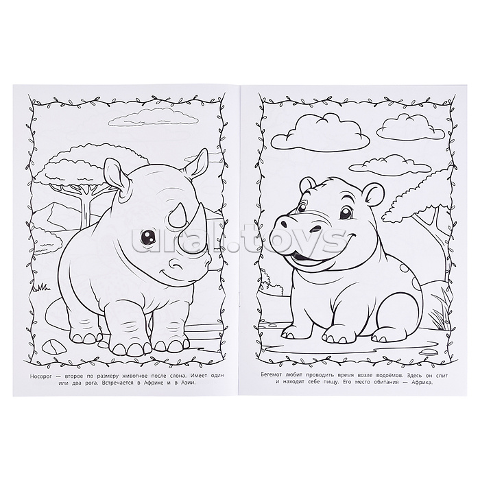 Животные жарких стран. Раскраска